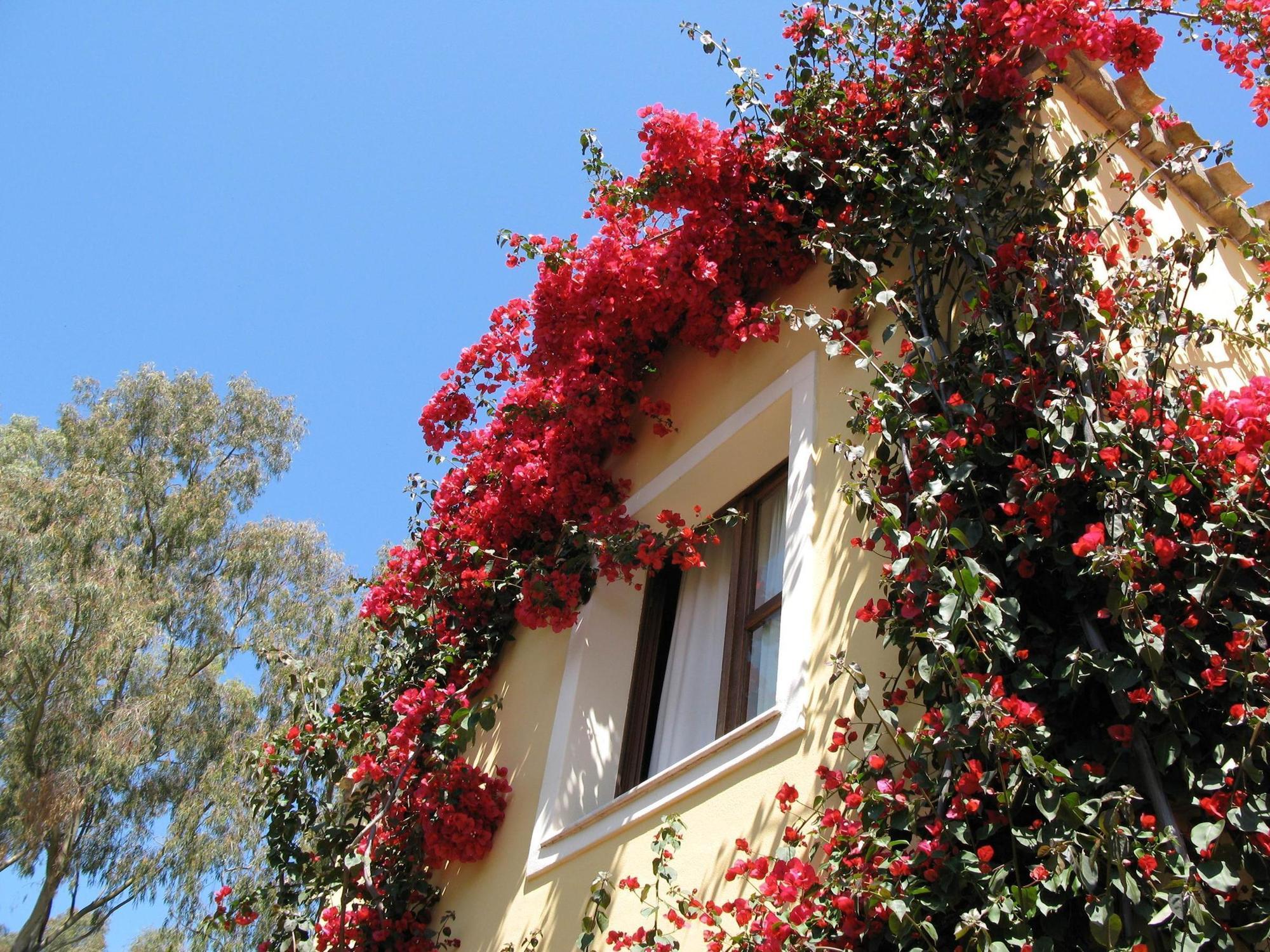 Borgo Degli Ulivi Aparthotel 3*